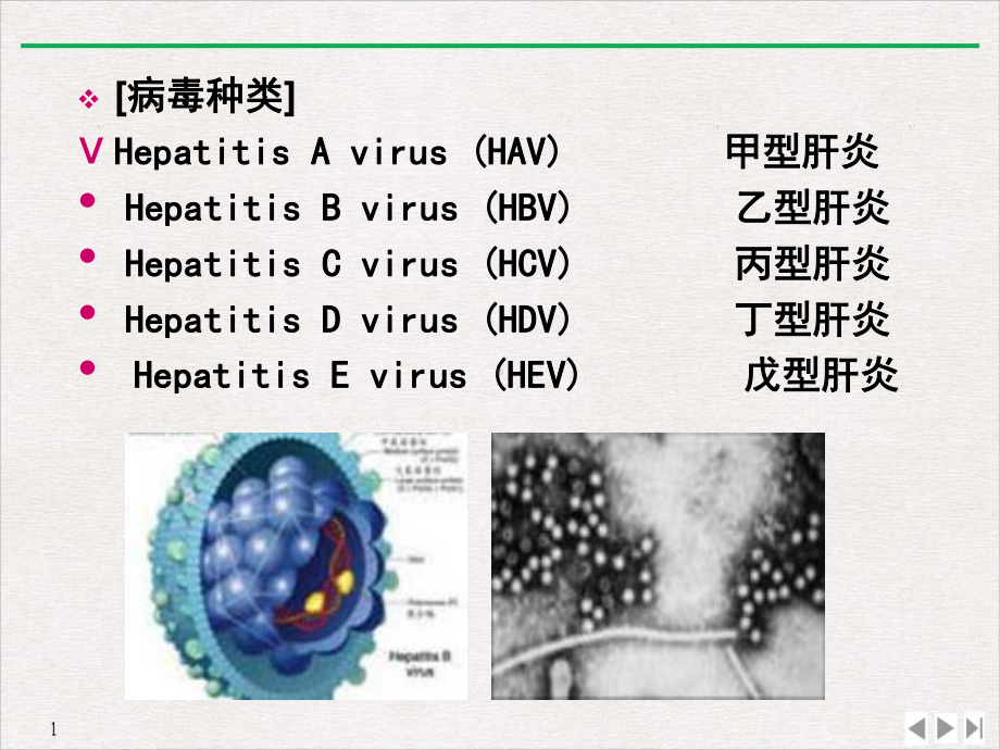 改病毒性肝炎改优质推荐课件.ppt_第3页