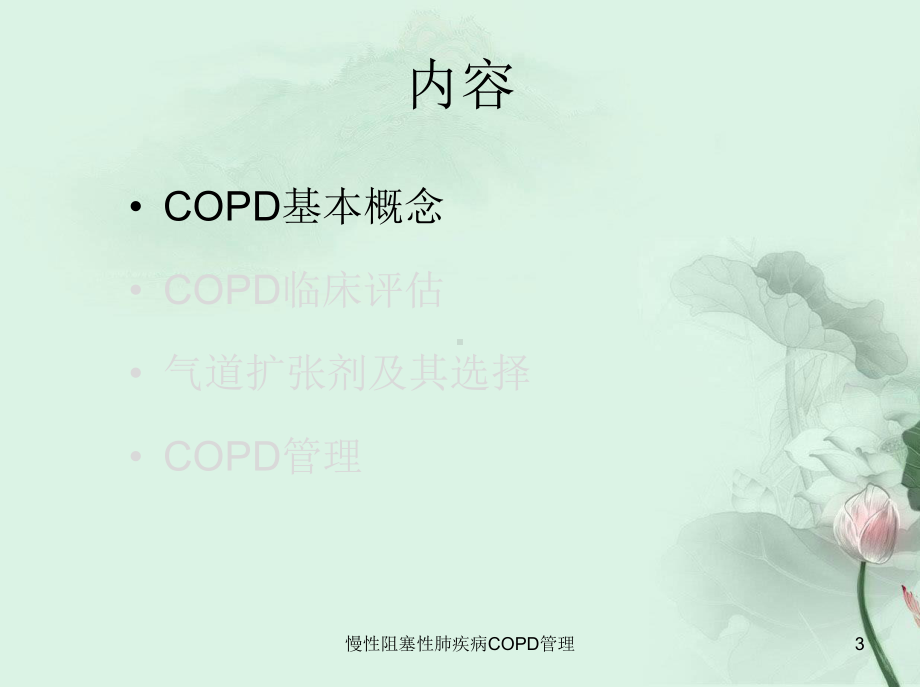 慢性阻塞性肺疾病COPD管理培训课件.ppt_第3页