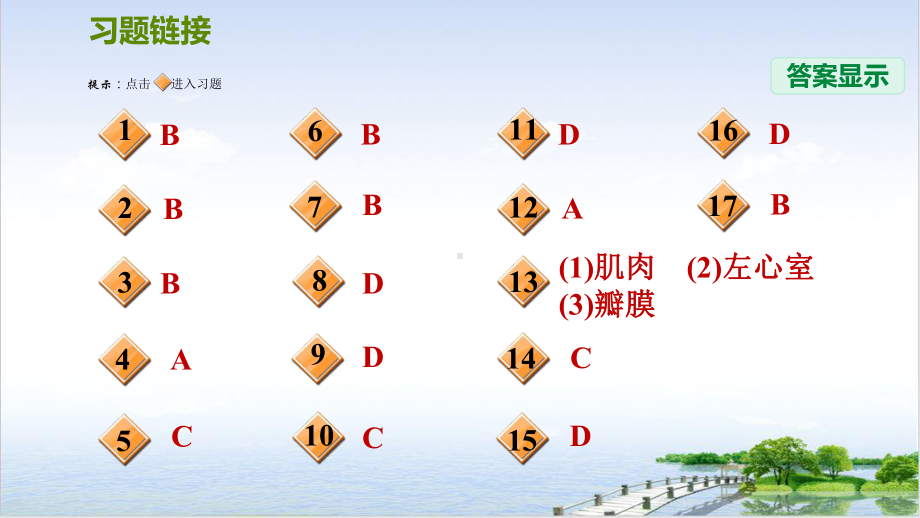 心脏和血管—浙教版九级科学上册习题课件.ppt_第2页