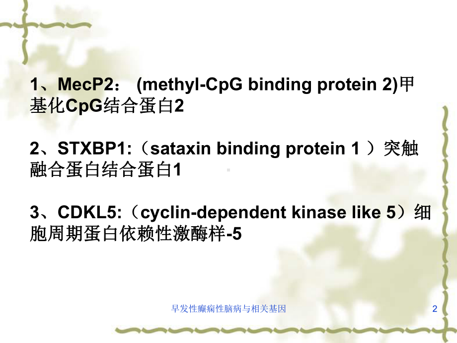 早发性癫痫性脑病与相关基因培训课件.ppt_第2页