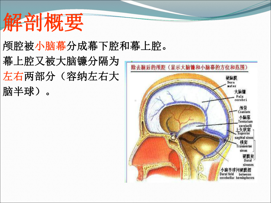 急性脑疝的护理