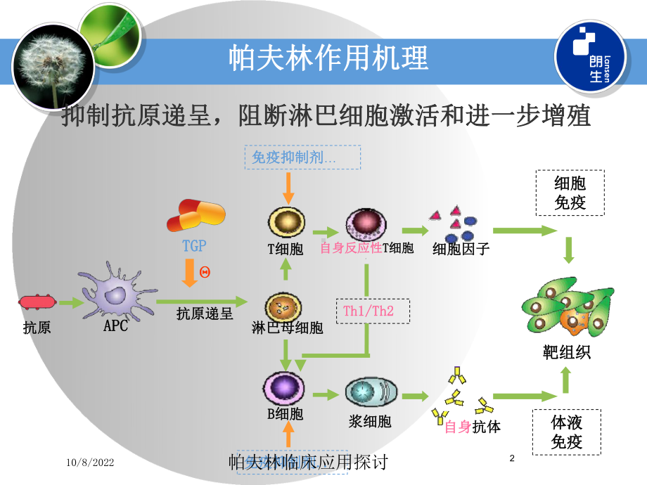 帕夫林临床应用探讨课件.ppt_第2页