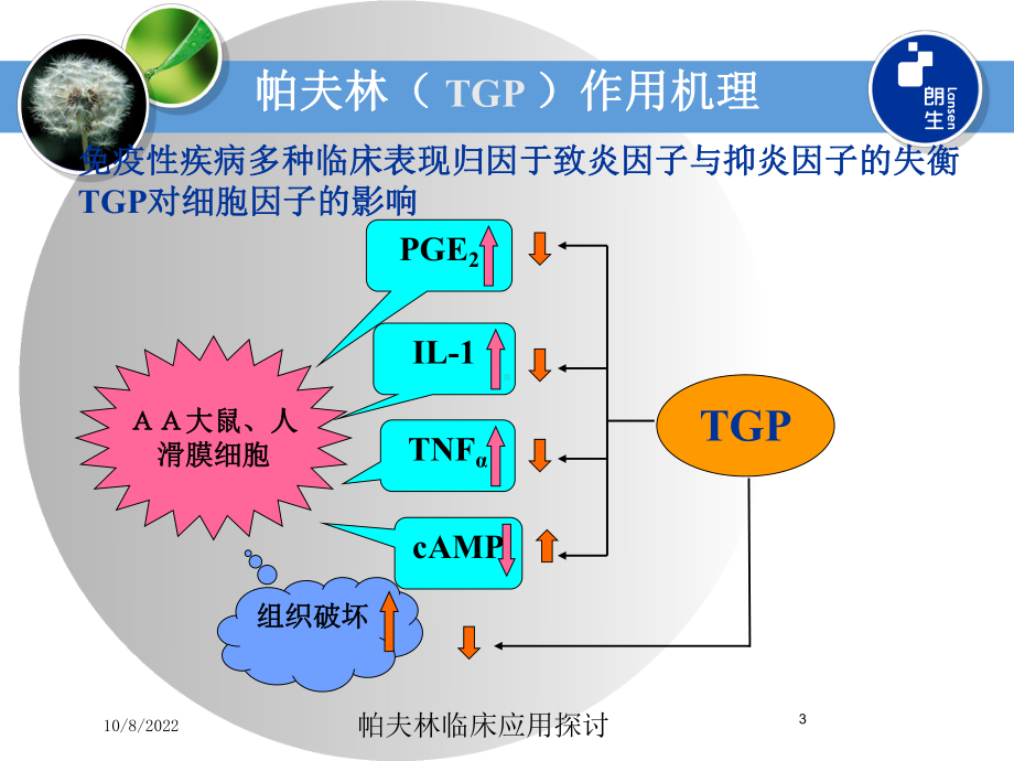 帕夫林临床应用探讨课件.ppt_第3页