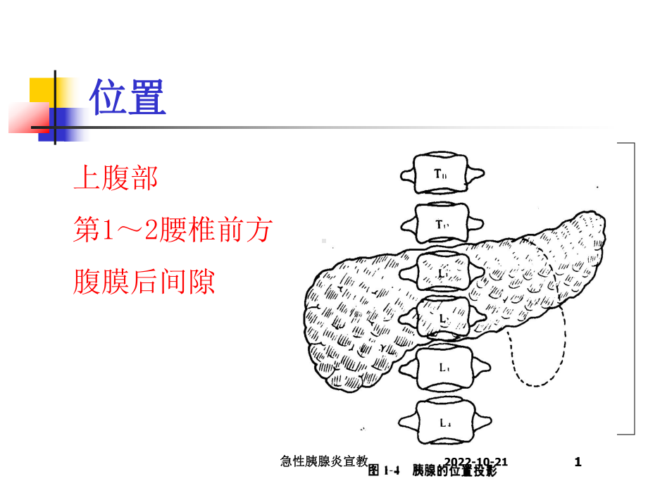 急性胰腺炎宣教培训课件.ppt_第1页