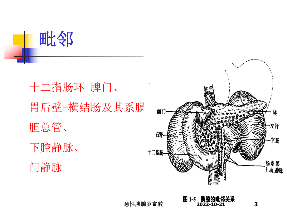 急性胰腺炎宣教培训课件.ppt_第3页