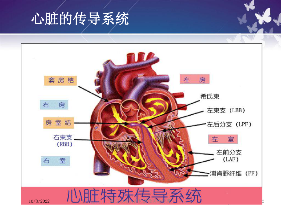 常见心律失常和急救医疗护理课件.ppt_第2页