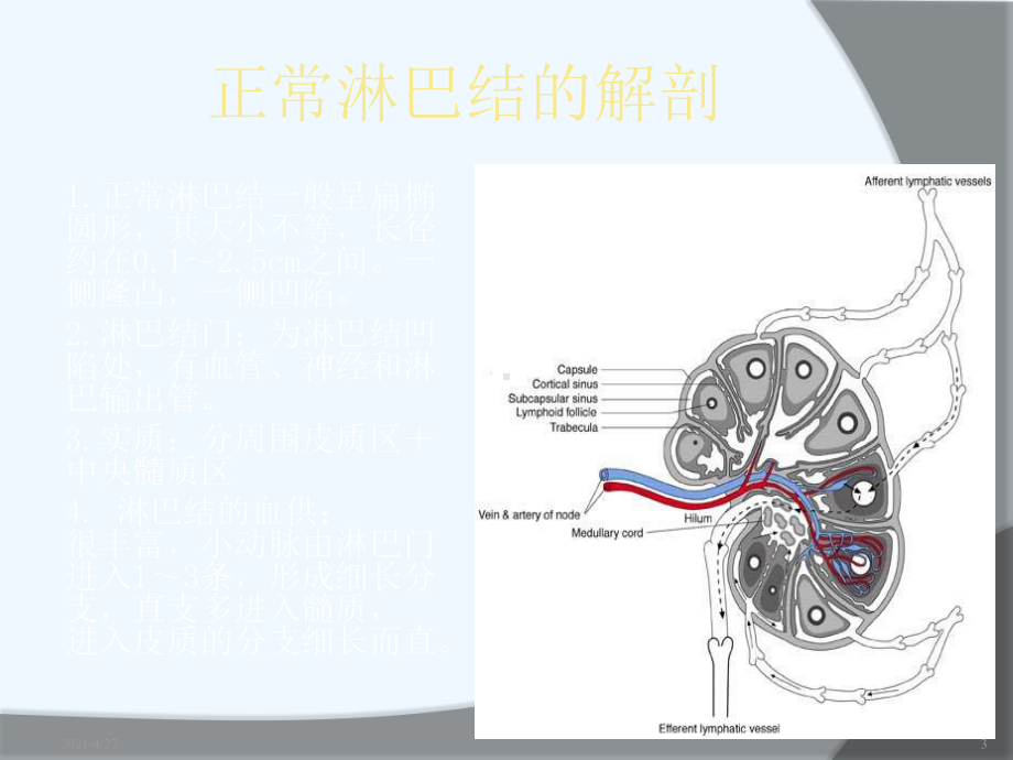 慢性淋巴结炎症系列课件.ppt_第3页