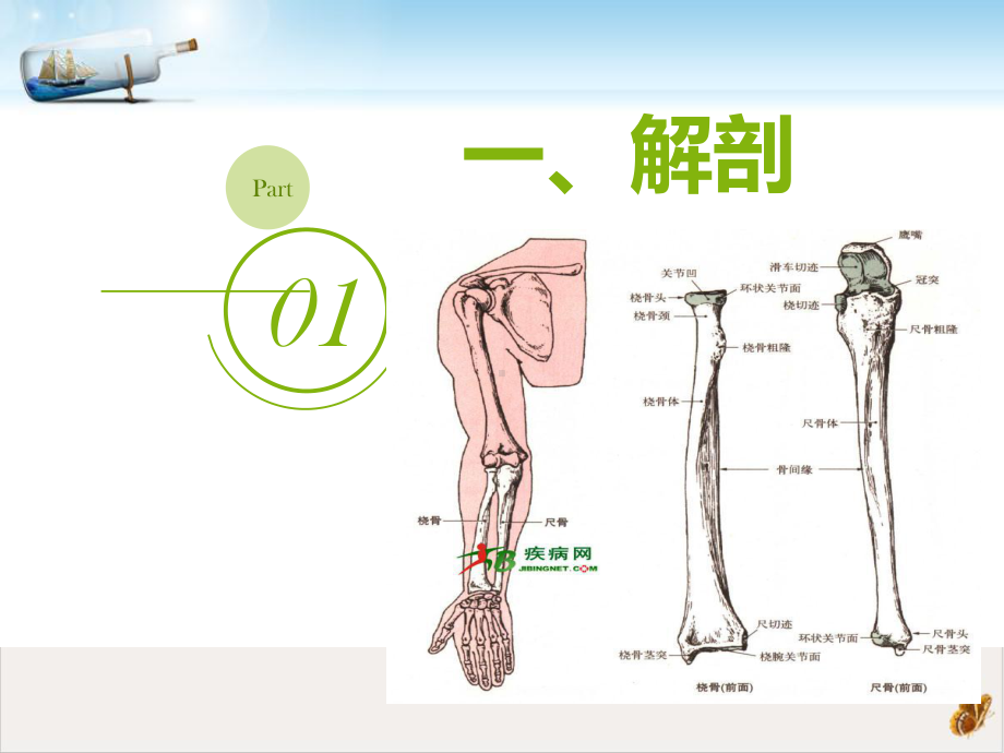 尺桡骨骨折教材课件.ppt_第3页