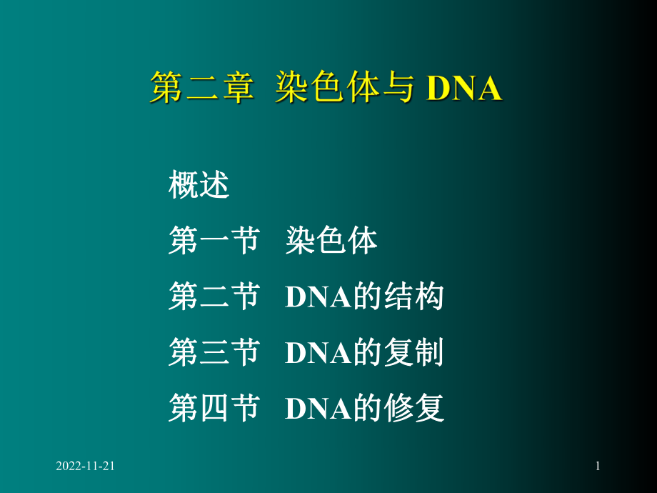 染色体与DNA分子生物学精选课件.ppt_第1页