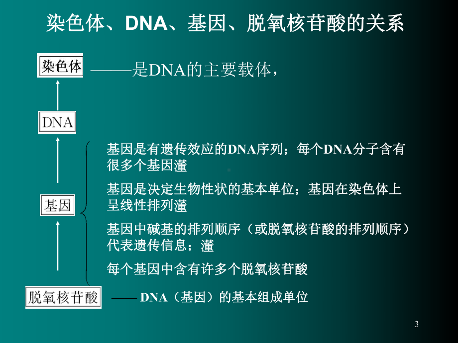 染色体与DNA分子生物学精选课件.ppt_第3页