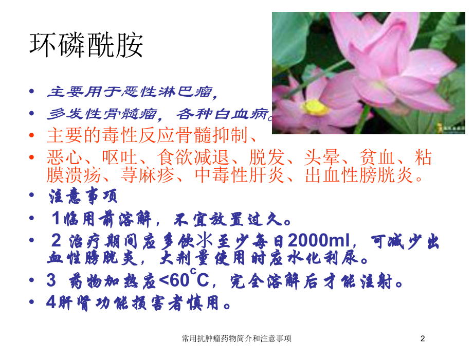 常用抗肿瘤药物简介和注意事项培训课件.ppt_第2页