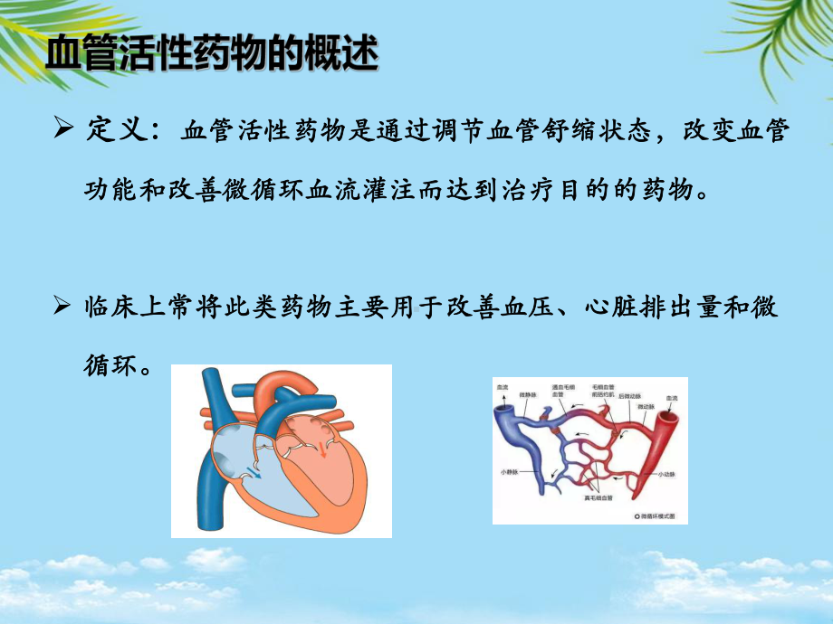 教培用血管活性药物的应用原则和注意事项课件.ppt_第3页