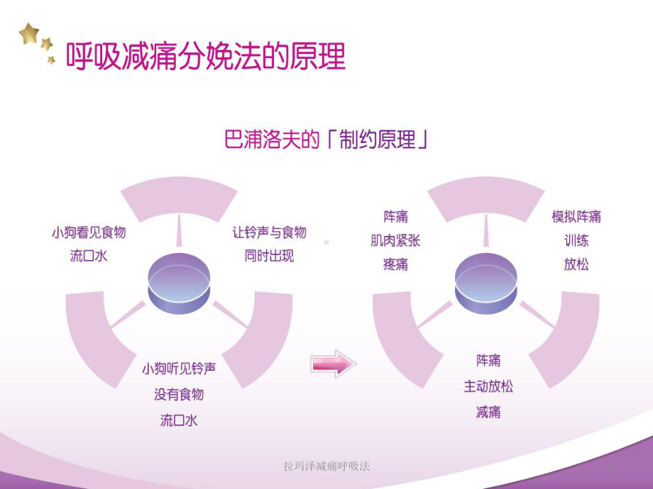 拉玛泽减痛呼吸法培训课件.ppt_第3页