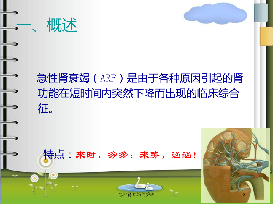 急性肾衰竭的护理培训课件.ppt_第3页