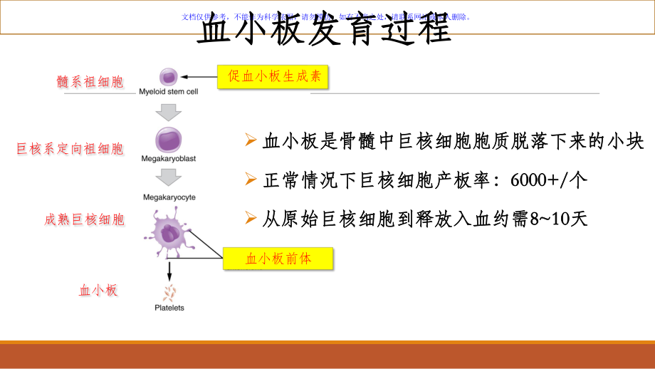 成人原发免疫性血小板减少症诊断与治疗课件.ppt_第1页