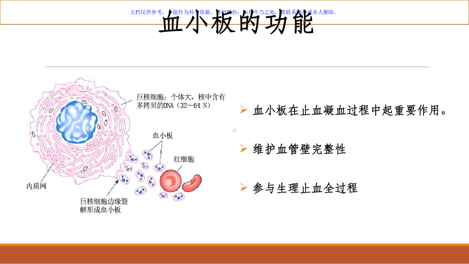 成人原发免疫性血小板减少症诊断与治疗课件.ppt_第2页