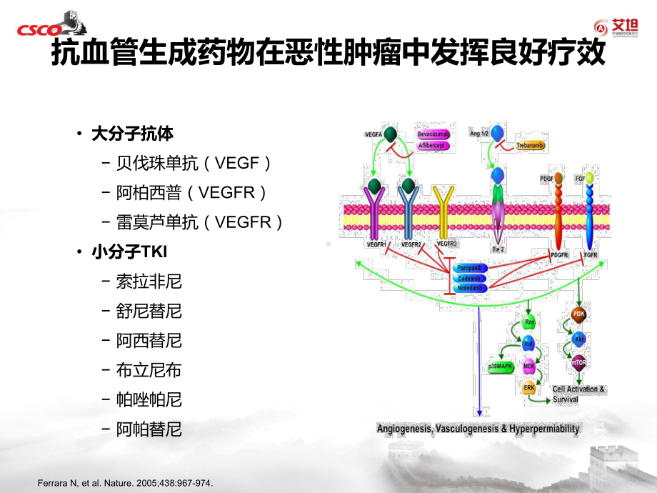 抗血管生成药物在恶性肿瘤中的治疗现状培训课件.ppt_第3页