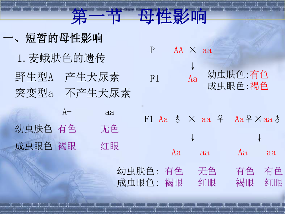 核外遗传医学宣教课件.ppt_第1页