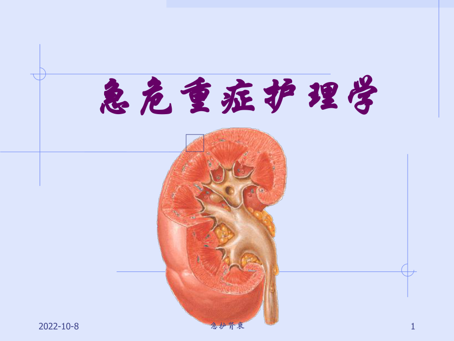 急护肾衰课件.ppt_第1页