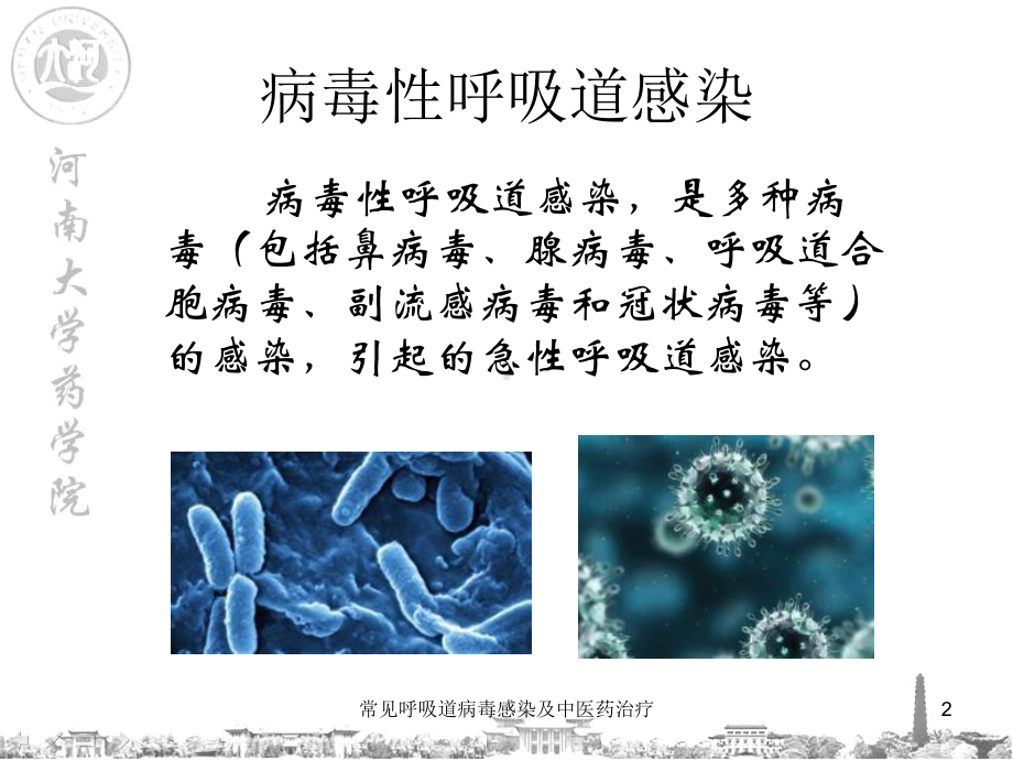 常见呼吸道病毒感染及中医药治疗培训课件.ppt_第2页