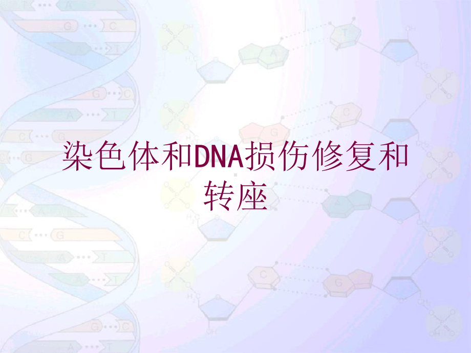 染色体和DNA损伤修复和转座培训课件.ppt_第1页