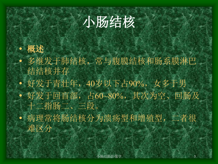 小肠结肠影像学培训课件.ppt_第3页