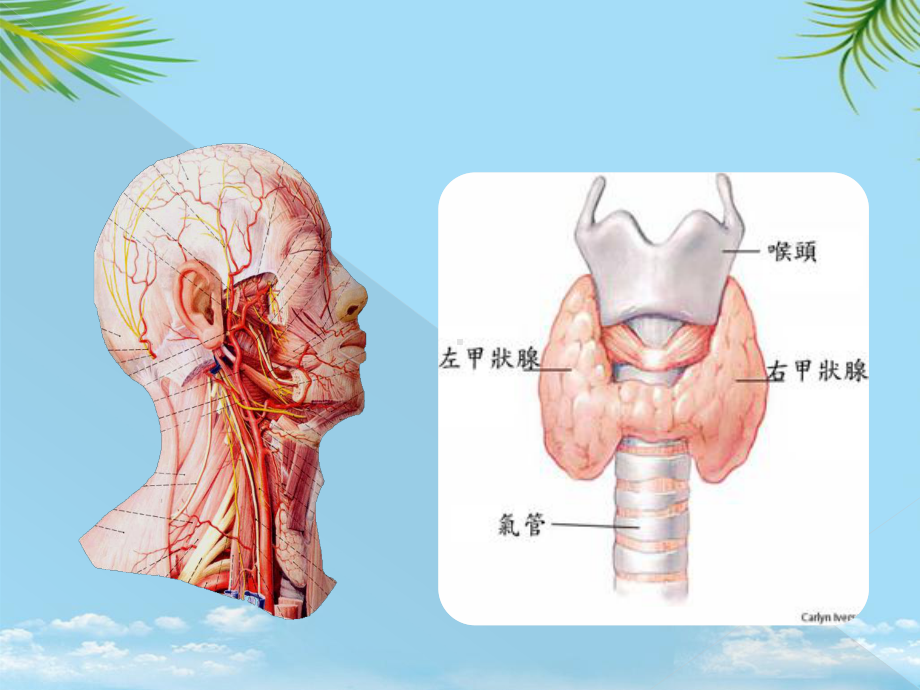 标记免疫分析临床全面课件.pptx_第3页