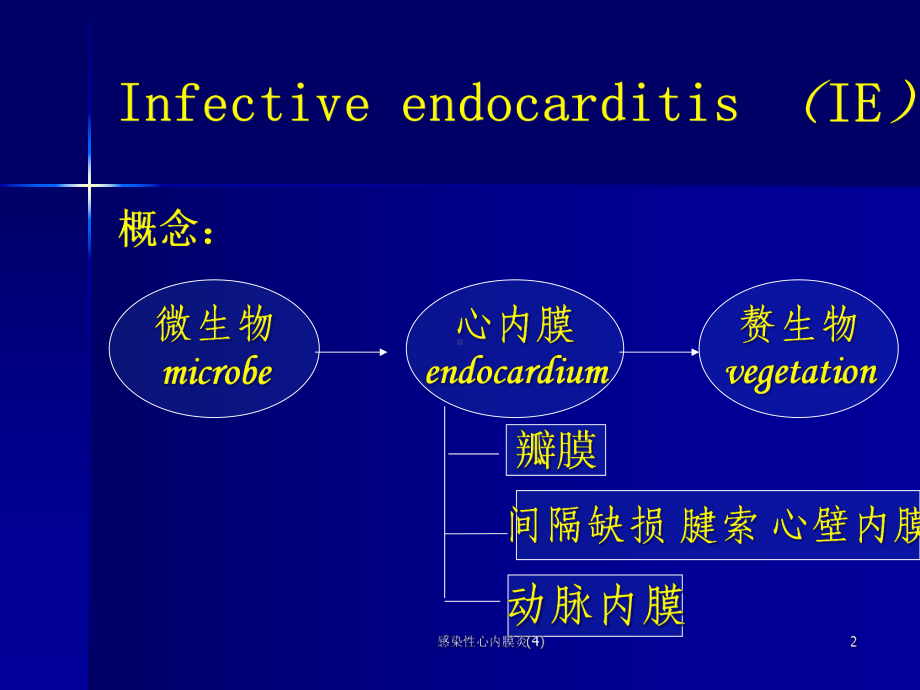 感染性心内膜炎课件4.ppt_第2页