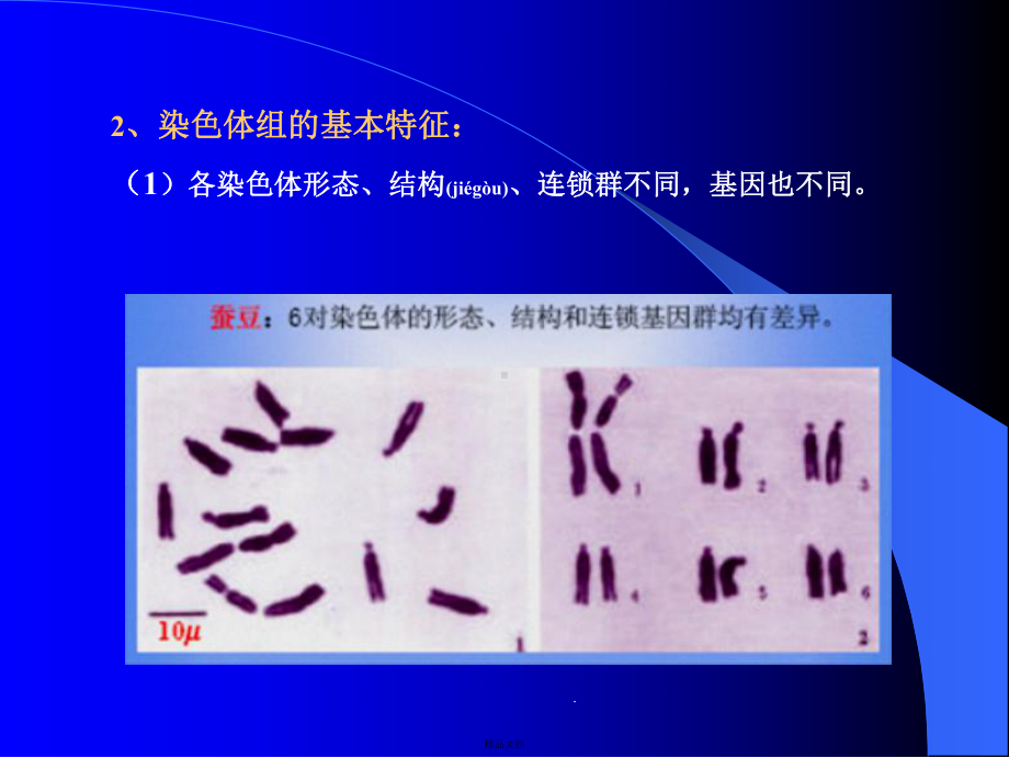 染色体数目的改变课件.pptx_第3页