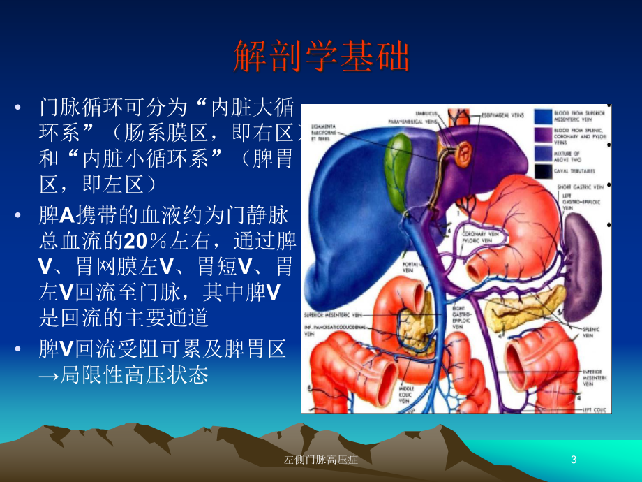 左侧门脉高压症培训课件.ppt_第3页