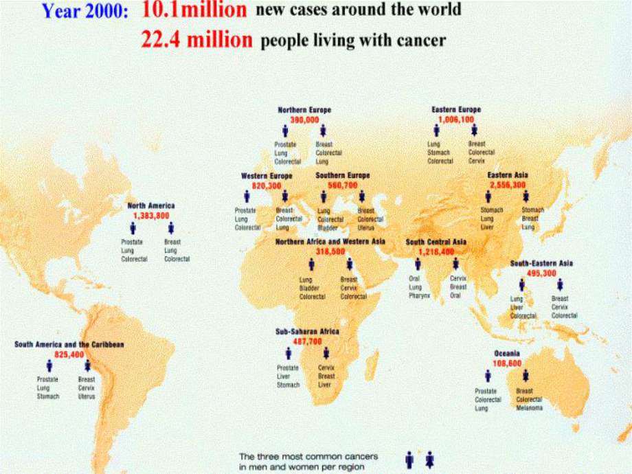 恶性肿瘤的预防与控制教学课件.ppt_第3页