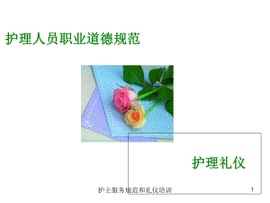 护士服务规范和礼仪培训培训课件.ppt