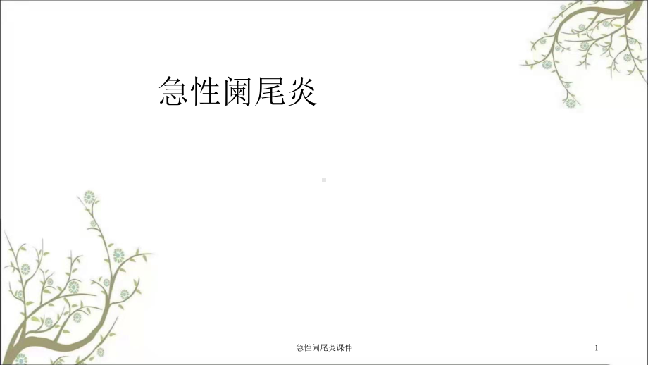 急性阑尾炎课件.ppt_第1页