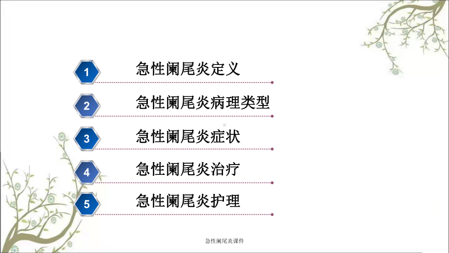 急性阑尾炎课件.ppt_第2页