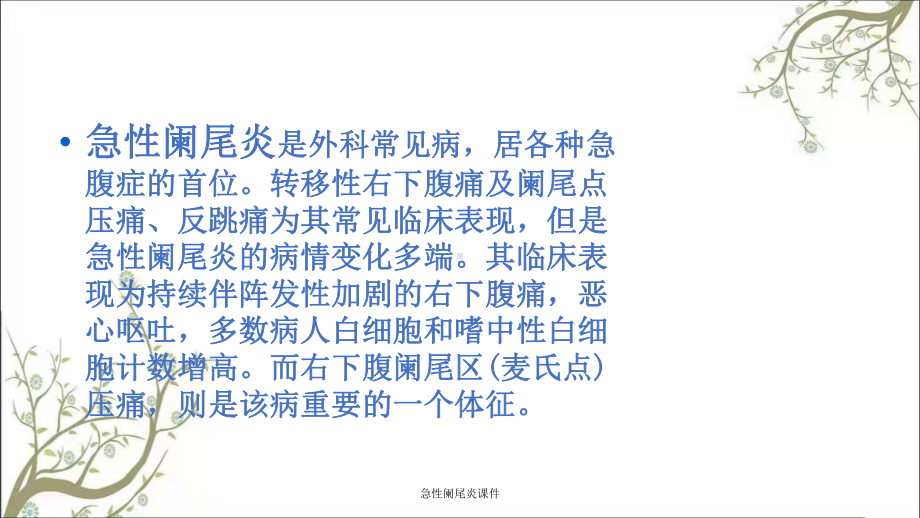 急性阑尾炎课件.ppt_第3页