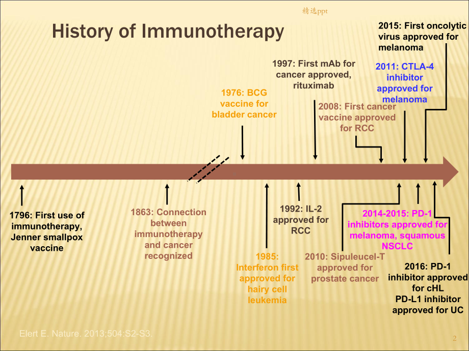 恶性淋巴瘤免疫治疗进展课件.ppt_第2页