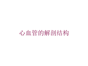 心血管的解剖结构培训课件.ppt