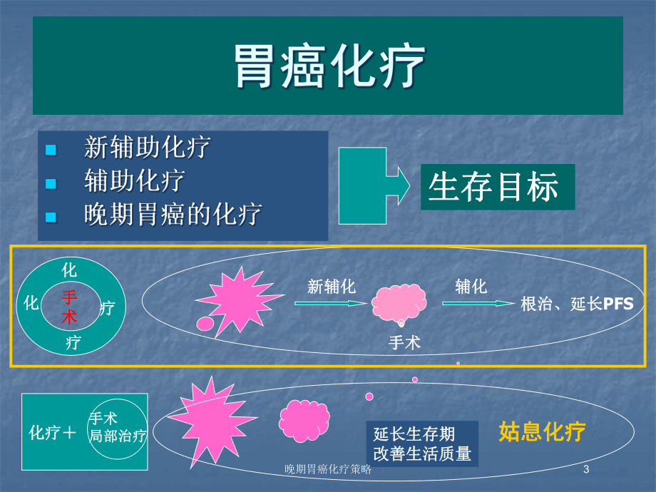 晚期胃癌化疗策略培训课件.ppt_第3页