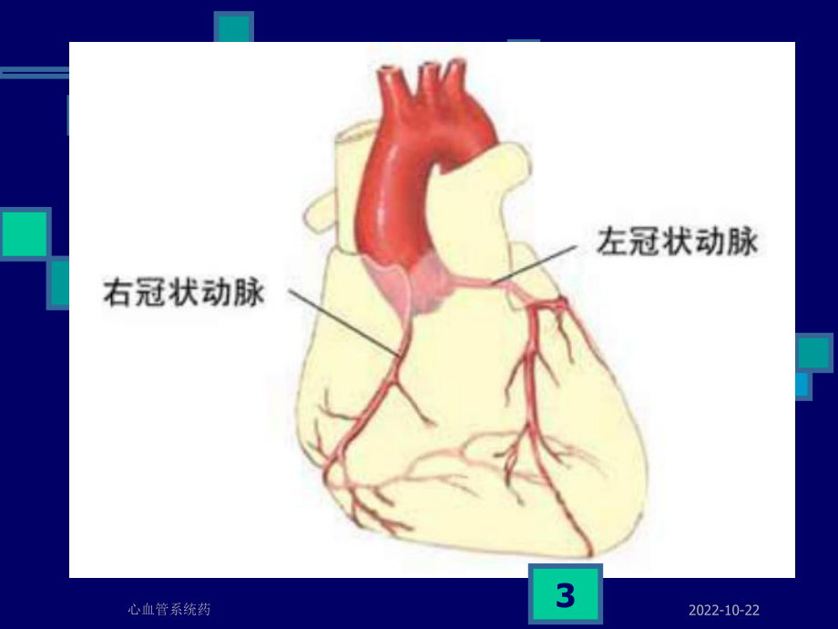 心血管系统药课件.ppt_第3页