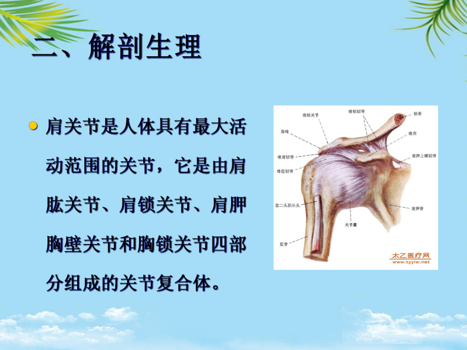 教培用遵义医专推拿学肩周炎课件.ppt_第3页