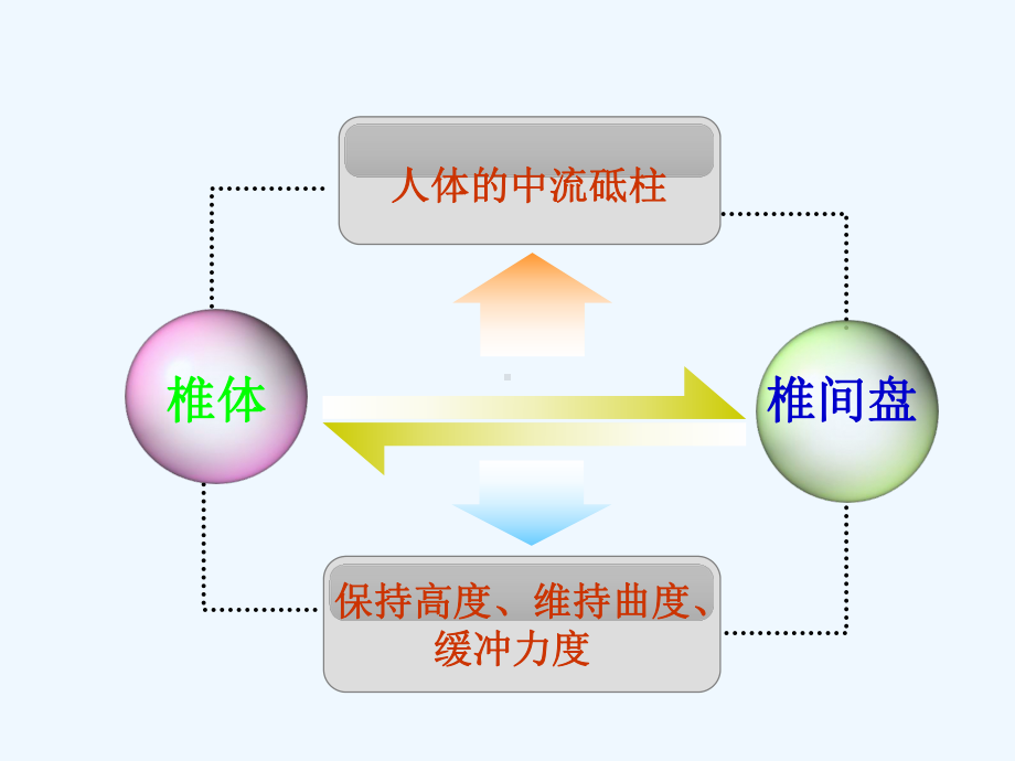 康复体操预防治疗颈肩腰腿痛课件.ppt_第2页