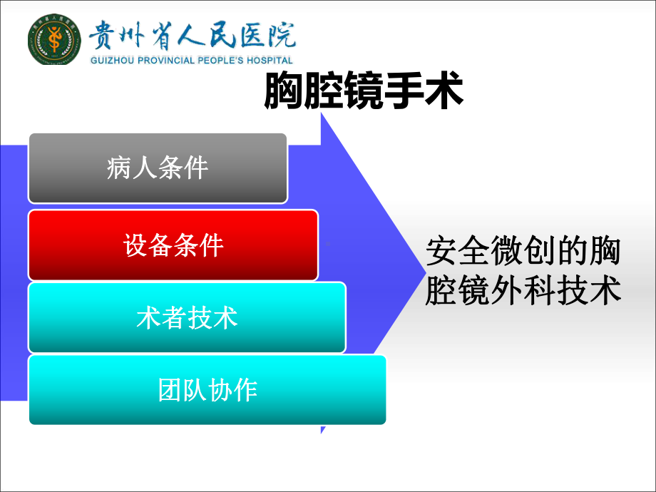 术者之行始于扶镜-胸腔镜术中团队配合体会课件.pptx_第2页