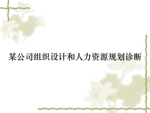 某公司组织设计和人力资源规划诊断课件.ppt