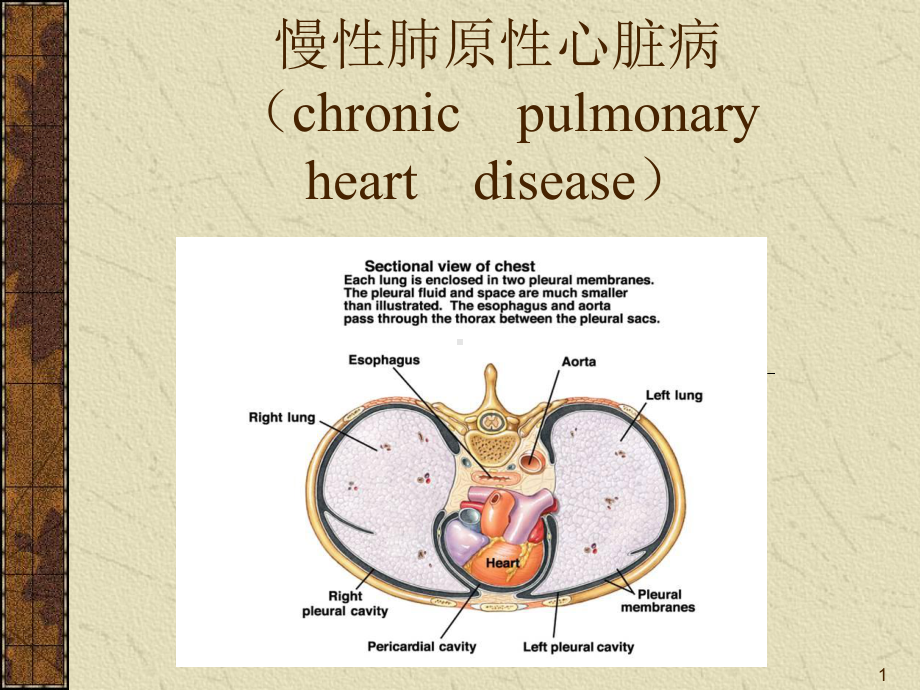 慢性肺原性心脏病课件-2.ppt_第1页