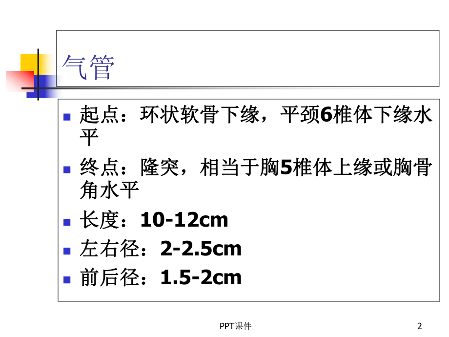 支气管及肺解剖-课件.ppt_第2页