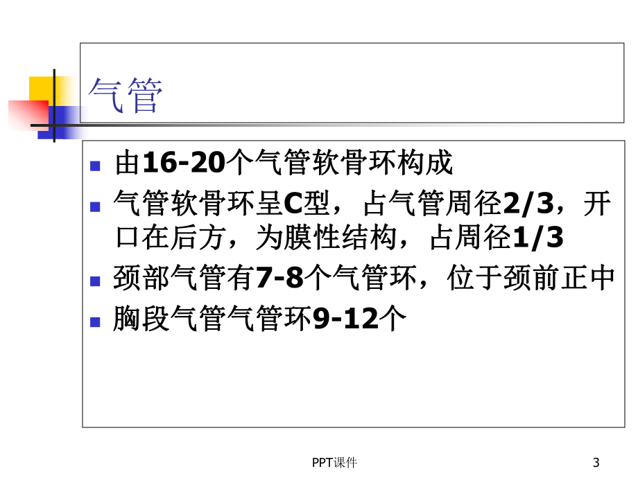 支气管及肺解剖-课件.ppt_第3页