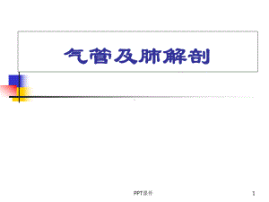 支气管及肺解剖-课件.ppt