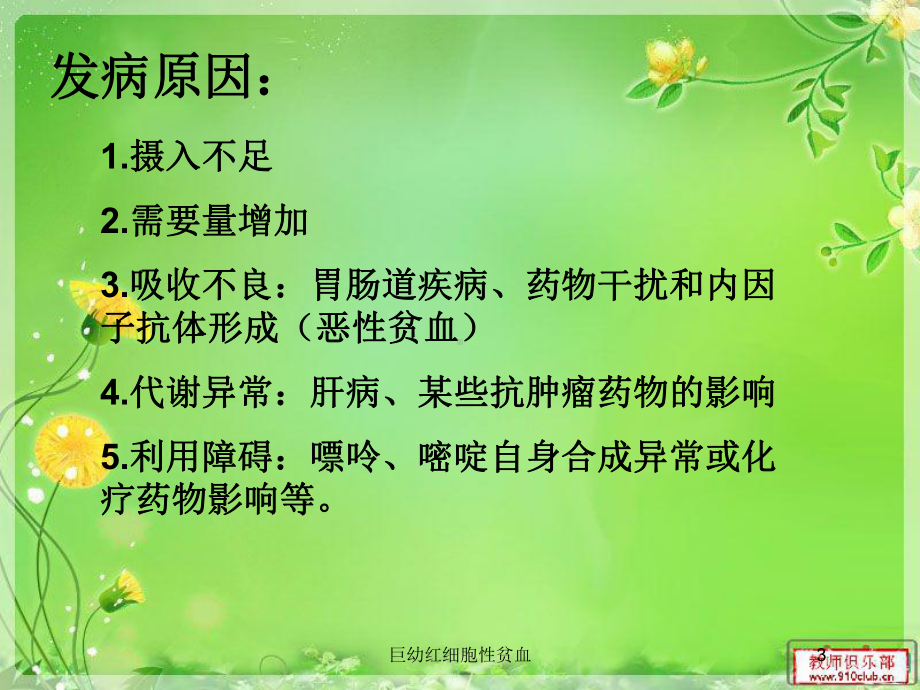 巨幼红细胞性贫血培训课件.ppt_第3页