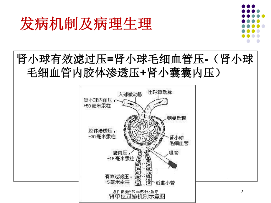 急性肾损伤和血液净化治疗培训课件.ppt_第3页