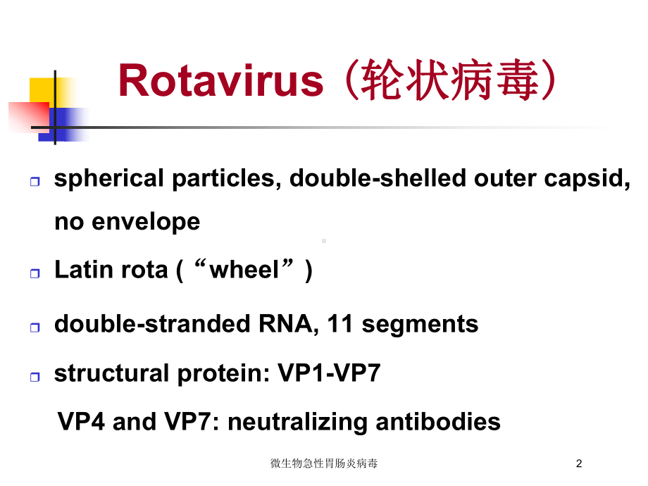 微生物急性胃肠炎病毒培训课件.ppt_第2页